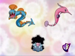 Which of these Clamperl will evolve into Gorebyss? This is